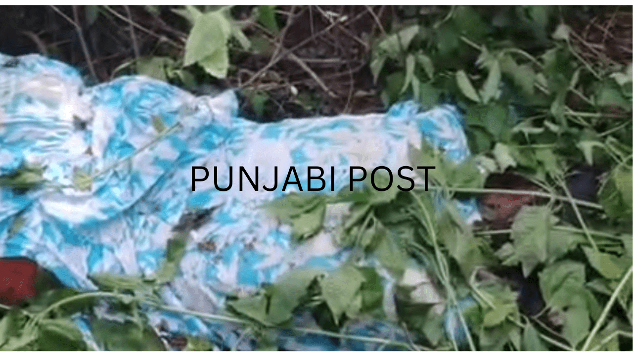 आसनसोल: डामरा क्षेत्र के जंगल में युवती का शव मिलने से सनसनी, हत्या या दुष्कर्म की आशंका