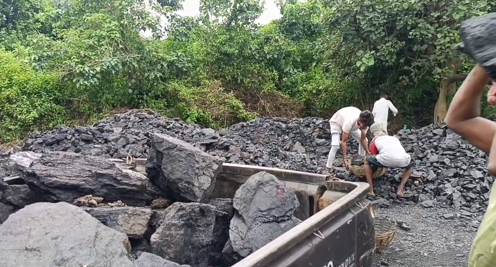 जामुरिया केंदा फाड़ी अंतर्गत तापसी ग्राम में CISF और ECL सुरक्षा गार्डों का संयुक्त अभियान, भारी मात्रा में अवैध कोयला जब्त